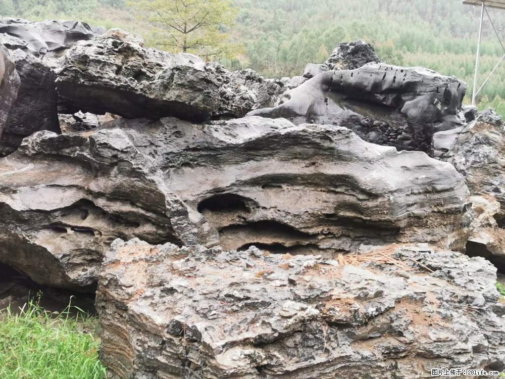 风景石、假山石大量有货，有需要的欢迎联系 - 新手上路 - 漳州生活社区 - 漳州28生活网 zhangzhou.28life.net