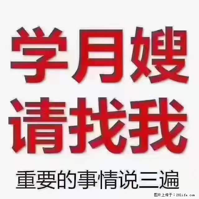 为什么要学习月嫂，育婴师？ - 新手上路 - 漳州生活社区 - 漳州28生活网 zhangzhou.28life.net