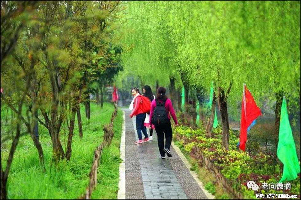 【春天，广西桂林灌阳县向您发出邀请！】江口老街又逢春 - 游山玩水 - 漳州生活社区 - 漳州28生活网 zhangzhou.28life.net