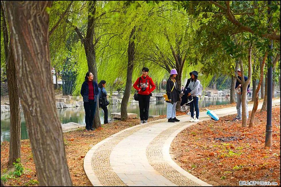 【春天，广西桂林灌阳县向您发出邀请！】江口老街又逢春 - 游山玩水 - 漳州生活社区 - 漳州28生活网 zhangzhou.28life.net