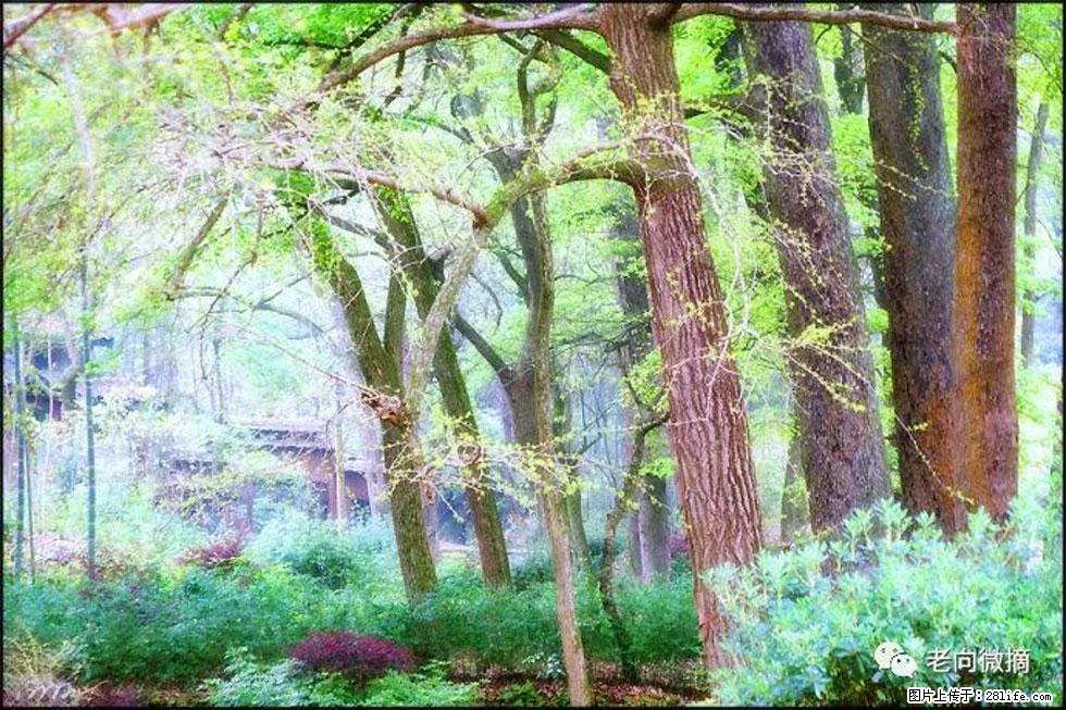 【春天，广西桂林灌阳县向您发出邀请！】在小龙村与春天约会 - 游山玩水 - 漳州生活社区 - 漳州28生活网 zhangzhou.28life.net