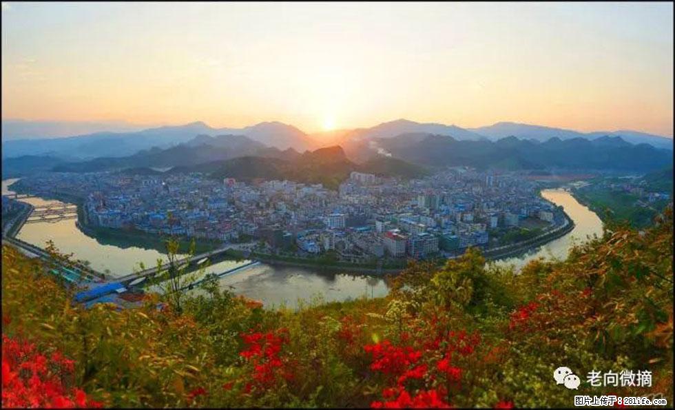 【春天,广西桂林灌阳县向您发出邀请!】登麒麟山,相约映山红 - 游山玩水 - 漳州生活社区 - 漳州28生活网 zhangzhou.28life.net