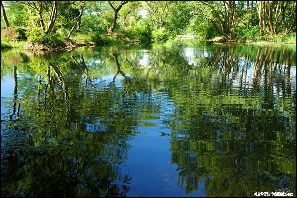【春天，广西桂林灌阳县向您发出邀请！】熊家寨湿地公园 - 游山玩水 - 漳州生活社区 - 漳州28生活网 zhangzhou.28life.net
