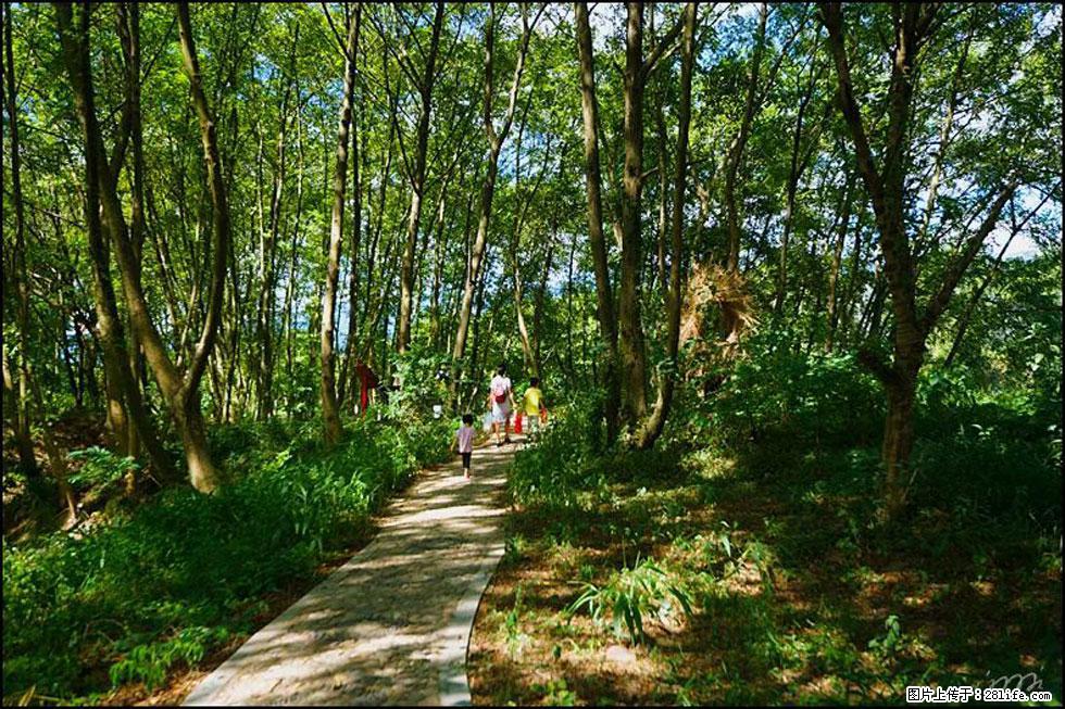 【春天，广西桂林灌阳县向您发出邀请！】熊家寨湿地公园 - 游山玩水 - 漳州生活社区 - 漳州28生活网 zhangzhou.28life.net