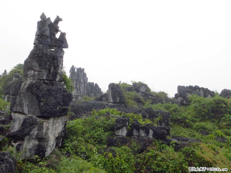 桂林旅游名城景点：灌阳文市石林 - 游山玩水 - 漳州生活社区 - 漳州28生活网 zhangzhou.28life.net