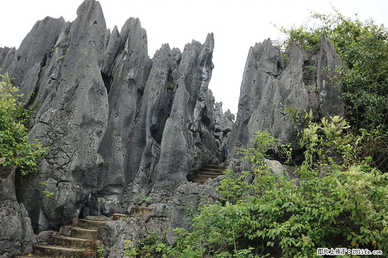 桂林旅游名城景点：灌阳文市石林 - 游山玩水 - 漳州生活社区 - 漳州28生活网 zhangzhou.28life.net