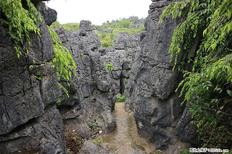桂林旅游名城景点：灌阳文市石林 - 游山玩水 - 漳州生活社区 - 漳州28生活网 zhangzhou.28life.net