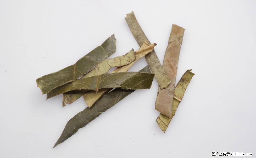 苦丁茶有哪些功效和作用 - 生活百科 - 漳州生活社区 - 漳州28生活网 zhangzhou.28life.net