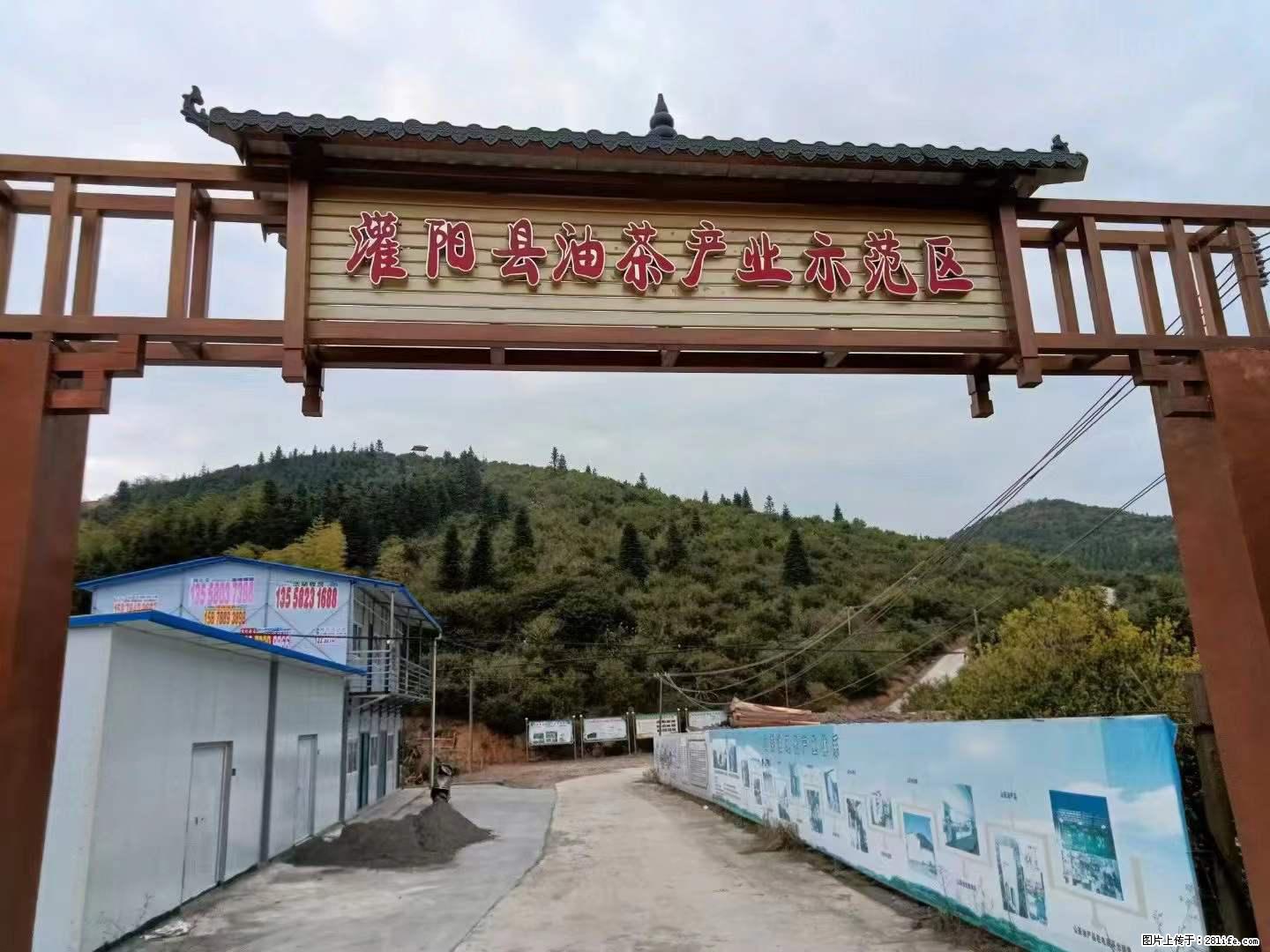 【灌阳县油茶产业示范区】一个有着充实的精神生活的人，对待身外之物自会有一种淡泊的态度 - 美食天地 - 漳州生活社区 - 漳州28生活网 zhangzhou.28life.net