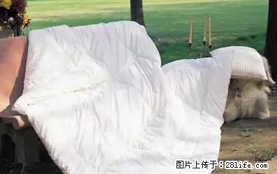 被子有异味？只要这样做，比晒太阳还强100倍！ - 家居生活 - 漳州生活社区 - 漳州28生活网 zhangzhou.28life.net