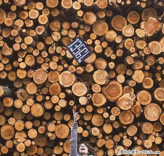 辞掉工作周游世界？现在他们在洗厕所…… - 游山玩水 - 漳州生活社区 - 漳州28生活网 zhangzhou.28life.net