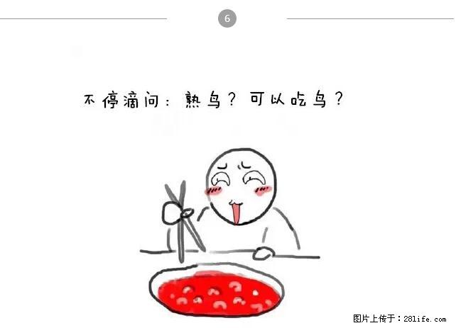 千万不要和这9种哈卵一起吃火锅！ - 美食天地 - 漳州生活社区 - 漳州28生活网 zhangzhou.28life.net