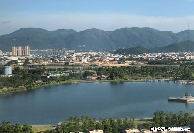 急租，急租，看房方便，全景看湖，南北通透 - 房屋出租 - 房屋租售 - 漳州分类信息 - 漳州28生活网 zhangzhou.28life.net