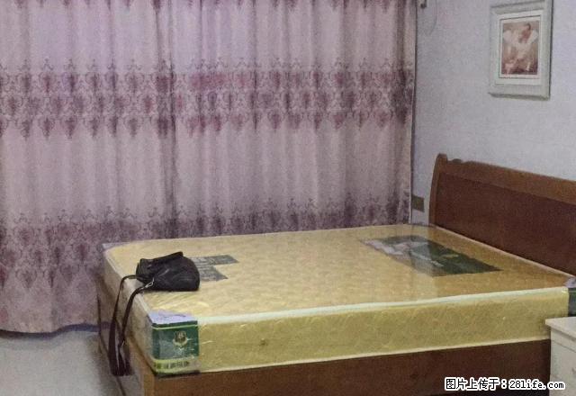 万达旁碧洲园精装修正套公寓出租 多套 看房方便翰苑颐园下州 - 房屋出租 - 房屋租售 - 漳州分类信息 - 漳州28生活网 zhangzhou.28life.net