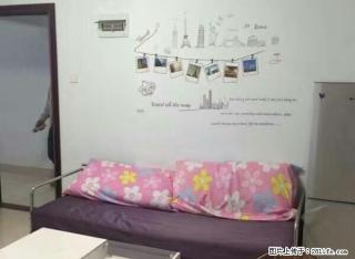 漳浦 全漳浦 龙成尊庭一房一厅急出租 1室 - 漳州28生活网 zhangzhou.28life.net