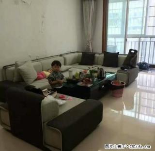 漳浦龙成尊庭 3室2厅120平米 精装修 押一付三 - 漳州28生活网 zhangzhou.28life.net