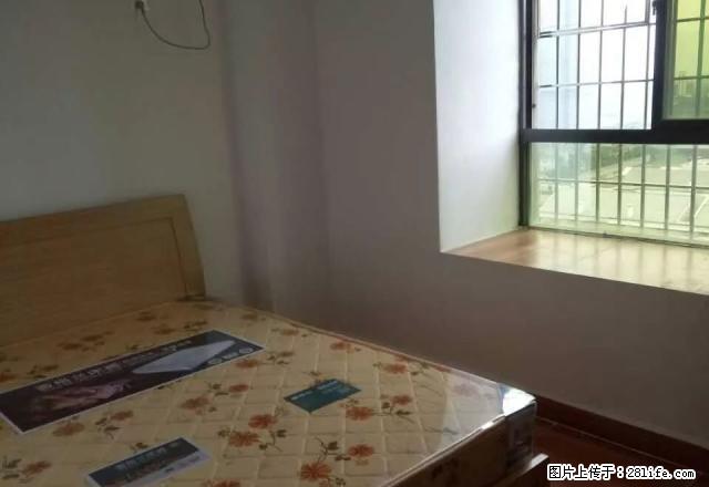 个人房屋 阳光 莘园 卓 瑞景城多套单身公寓550元起可月付 - 房屋出租 - 房屋租售 - 漳州分类信息 - 漳州28生活网 zhangzhou.28life.net