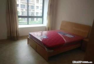个人房屋钱隆学府景山学校菜市场对面莘园小区单身公寓可月租月付 - 漳州28生活网 zhangzhou.28life.net