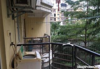 新市中心君临天下丽园君悦都市阳光沃尔玛悦华城市广场旁天下广场 - 漳州28生活网 zhangzhou.28life.net