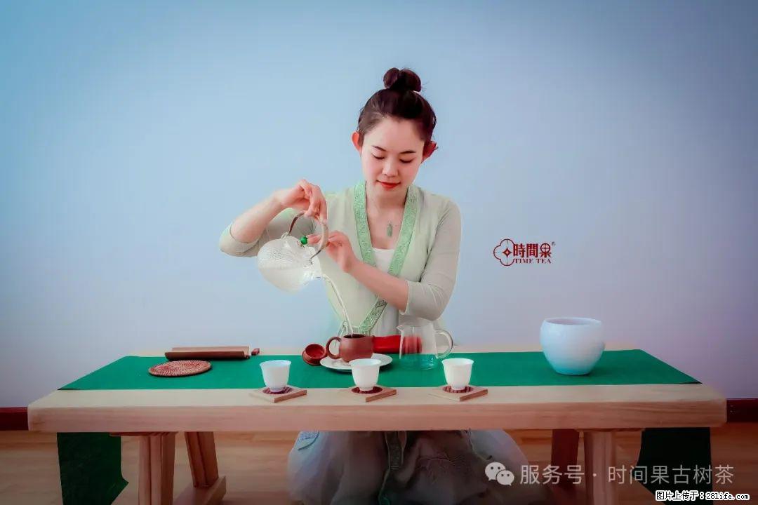 时间果百年古树龙珠普洱生茶 - 购物交流 - 漳州生活社区 - 漳州28生活网 zhangzhou.28life.net