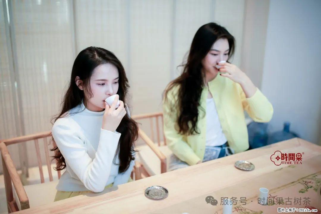 时间果百年古树龙珠普洱生茶 - 购物交流 - 漳州生活社区 - 漳州28生活网 zhangzhou.28life.net