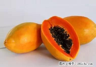 晕车、脚气、牙齿变黄、皮肤粗糙？学会这些三分钟搞定！ - 漳州生活资讯 - 漳州28生活网 zhangzhou.28life.net
