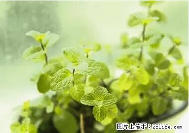 晕车、脚气、牙齿变黄、皮肤粗糙？学会这些三分钟搞定！ - 漳州生活资讯 - 漳州28生活网 zhangzhou.28life.net