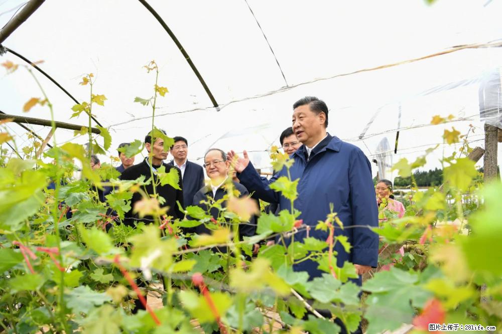 习近平赴广西考察调研 - 漳州生活资讯 - 漳州28生活网 zhangzhou.28life.net