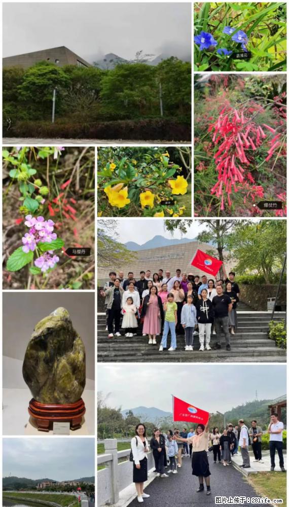 “粤灌文化 美好生活”油茶文化主题活动在广东深圳成功举办 - 漳州生活资讯 - 漳州28生活网 zhangzhou.28life.net