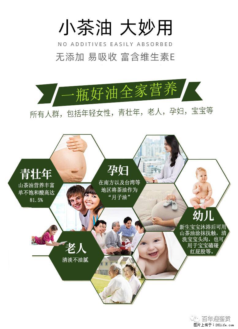 世界没有真相，只有认知，最好的食用油是中国的山茶油！ - 漳州生活资讯 - 漳州28生活网 zhangzhou.28life.net