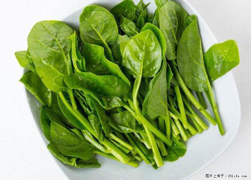 这些蔬菜是“天然钙片”，这6种被医生重点推荐 - 漳州生活资讯 - 漳州28生活网 zhangzhou.28life.net
