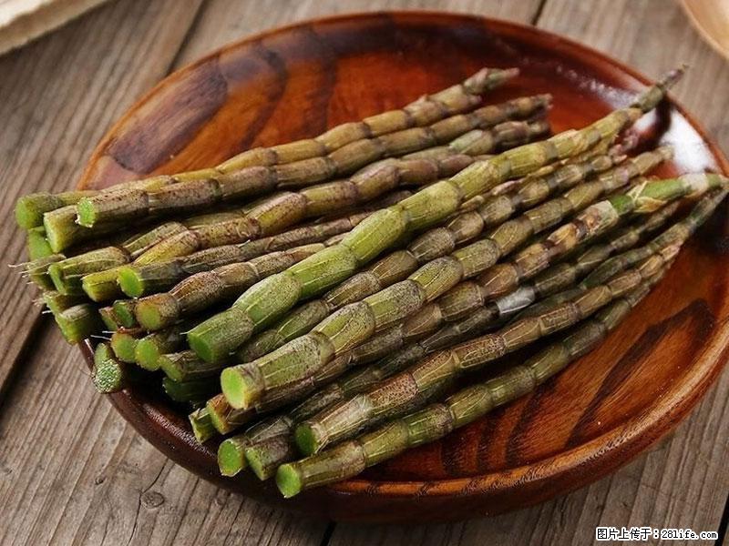 铁皮石斛的作用与功能主治 - 漳州生活资讯 - 漳州28生活网 zhangzhou.28life.net
